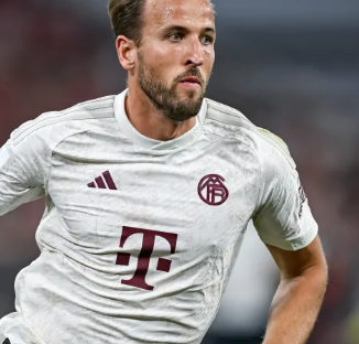 企业声誉 企业声誉